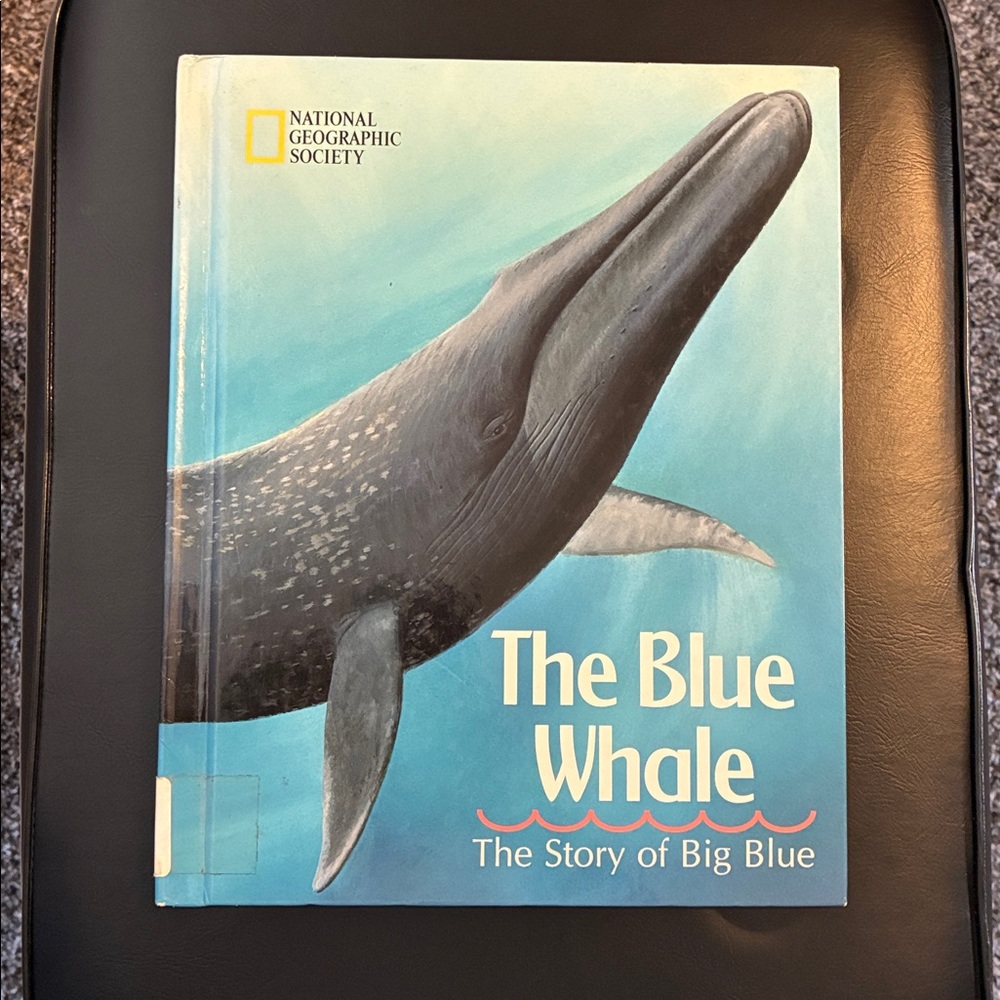 The Blue Whale